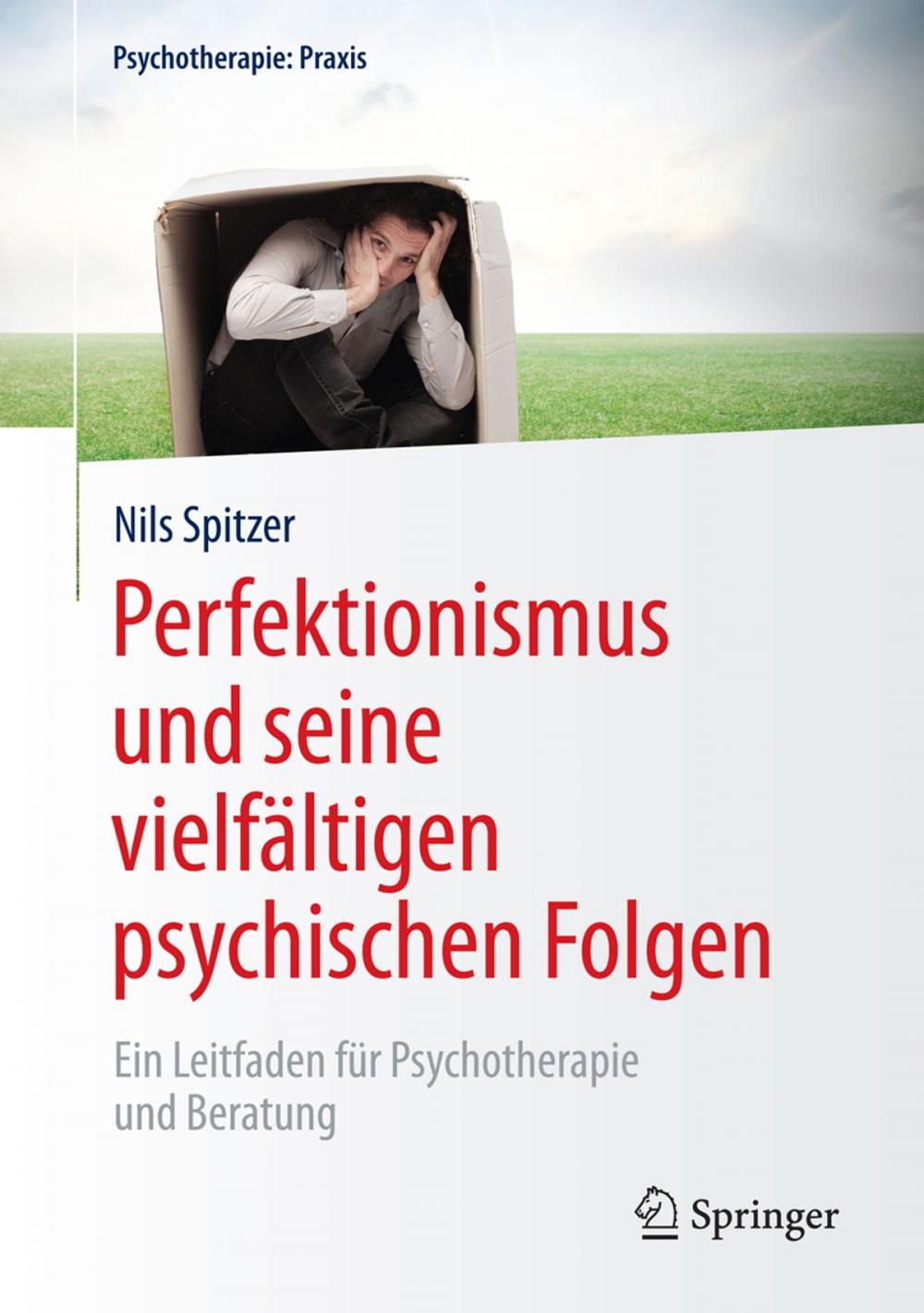 Big bigCover of Perfektionismus und seine vielfältigen psychischen Folgen