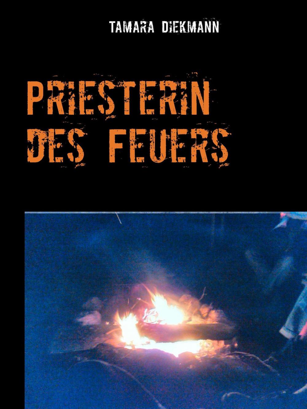 Big bigCover of Priesterin des Feuers