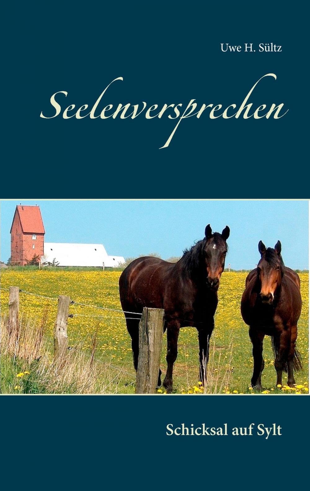 Big bigCover of Seelenversprechen