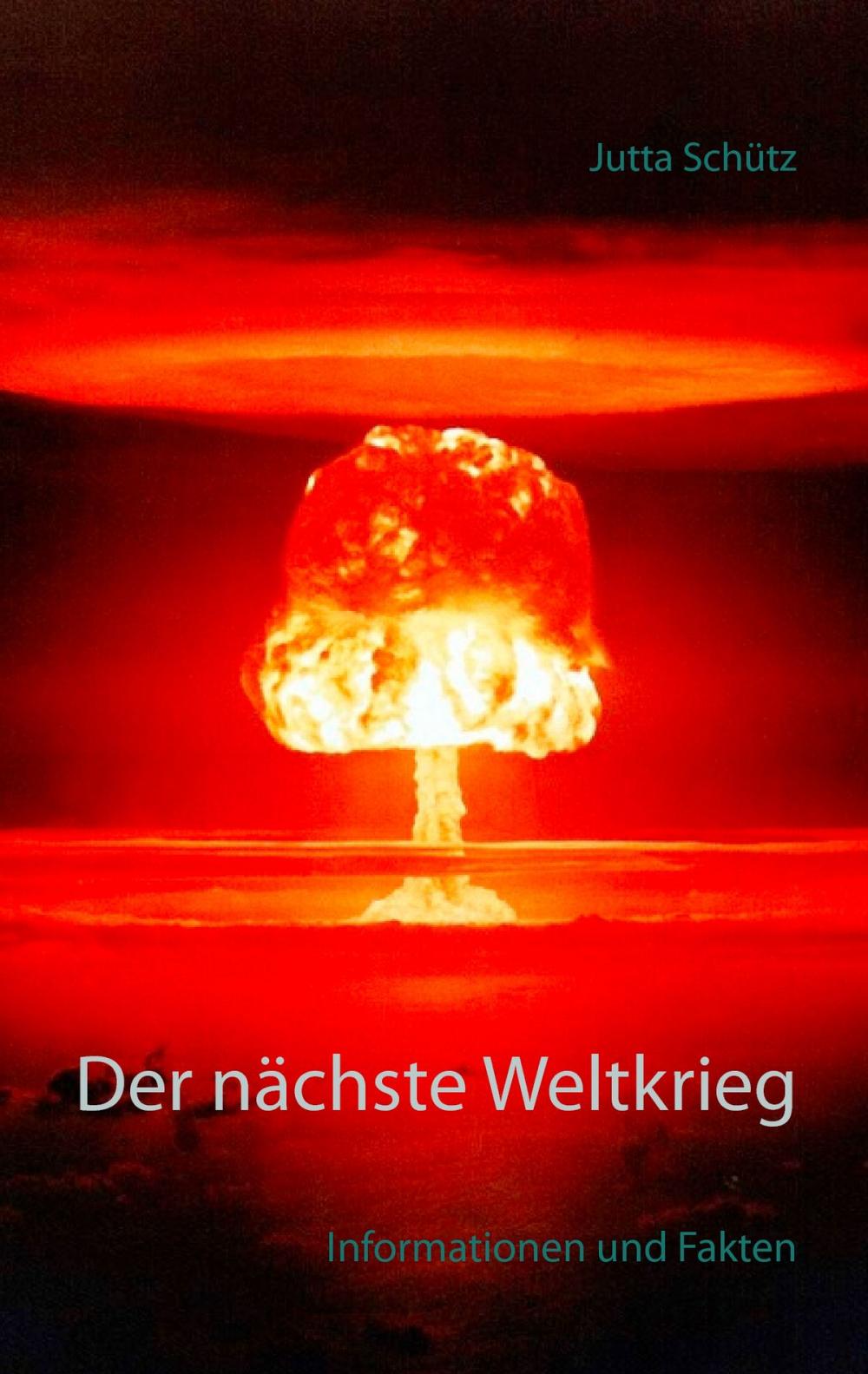 Big bigCover of Der nächste Weltkrieg