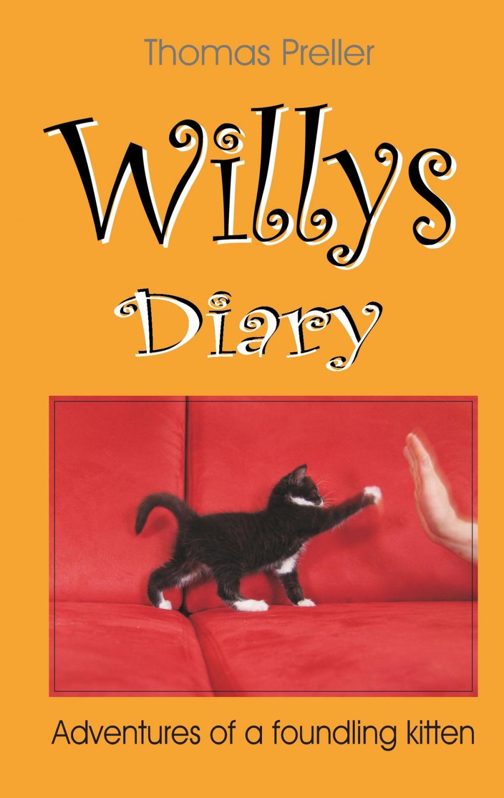 Big bigCover of Willys Diary