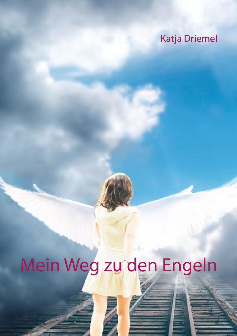 Big bigCover of Mein Weg zu den Engeln