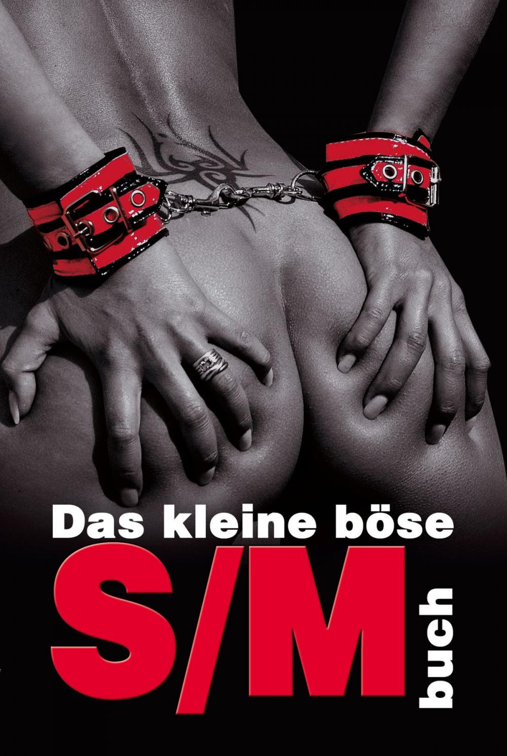 Big bigCover of Das kleine böse S/M-Buch