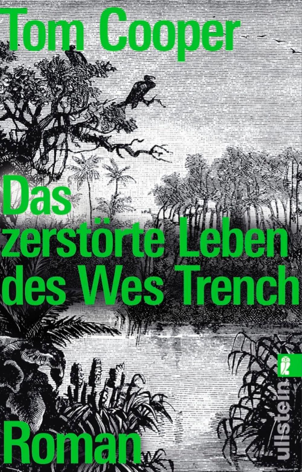 Big bigCover of Das zerstörte Leben des Wes Trench