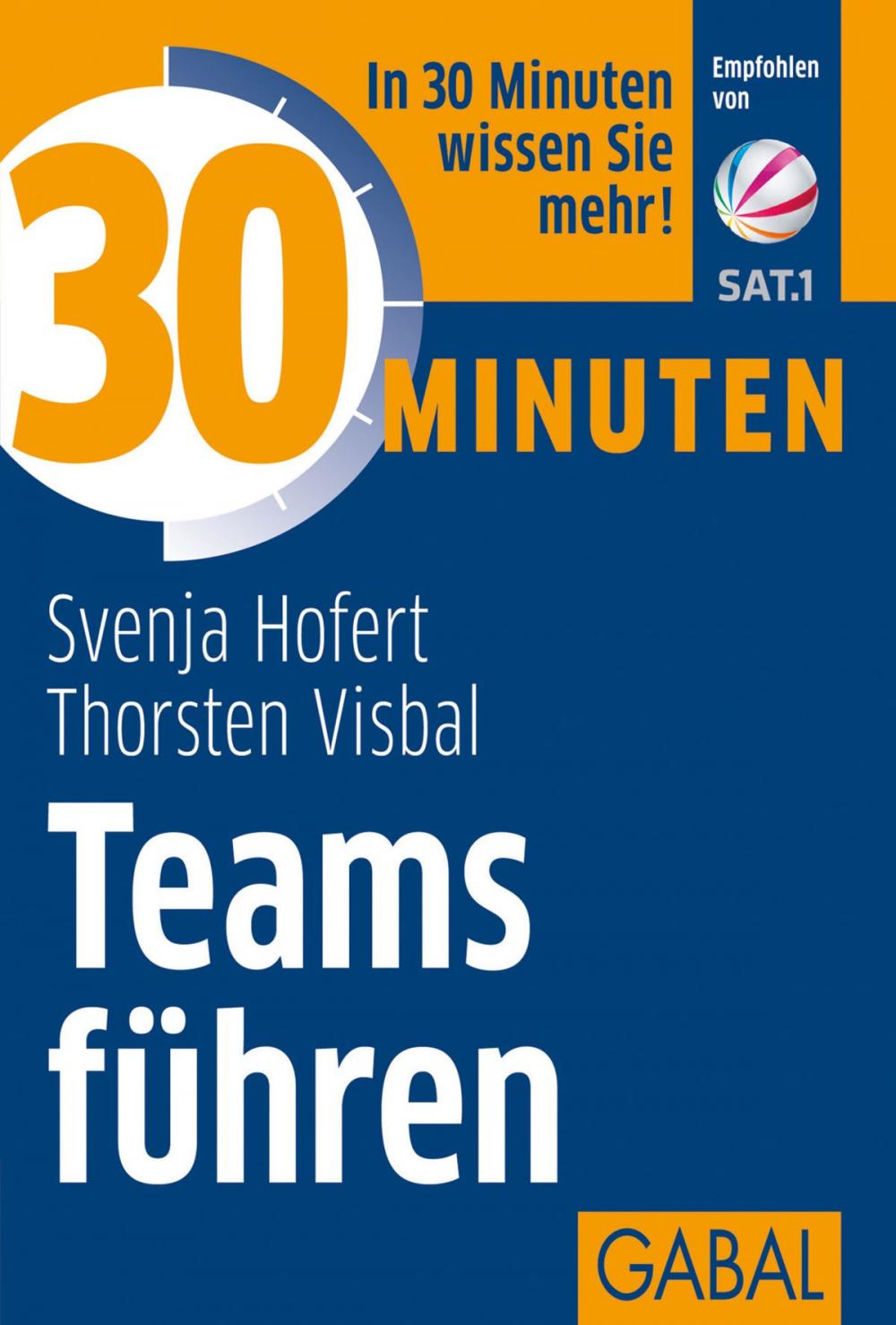 Big bigCover of 30 Minuten Teams führen