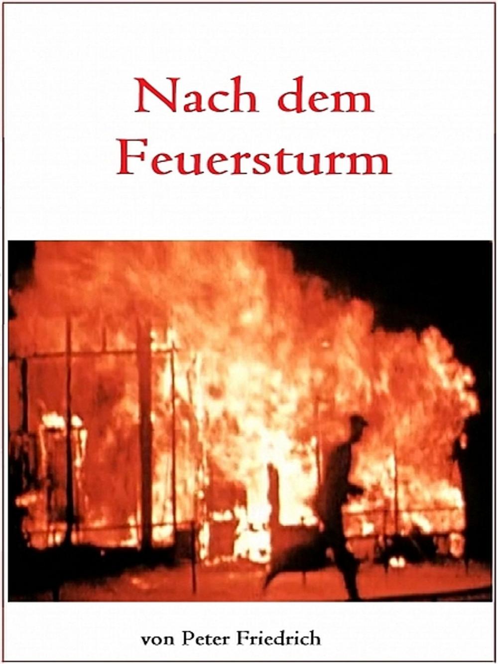 Big bigCover of Nach dem Feuersturm