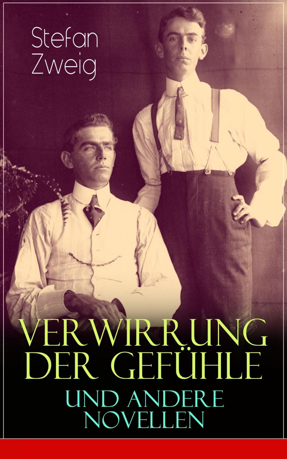 Big bigCover of Verwirrung der Gefühle und andere Novellen