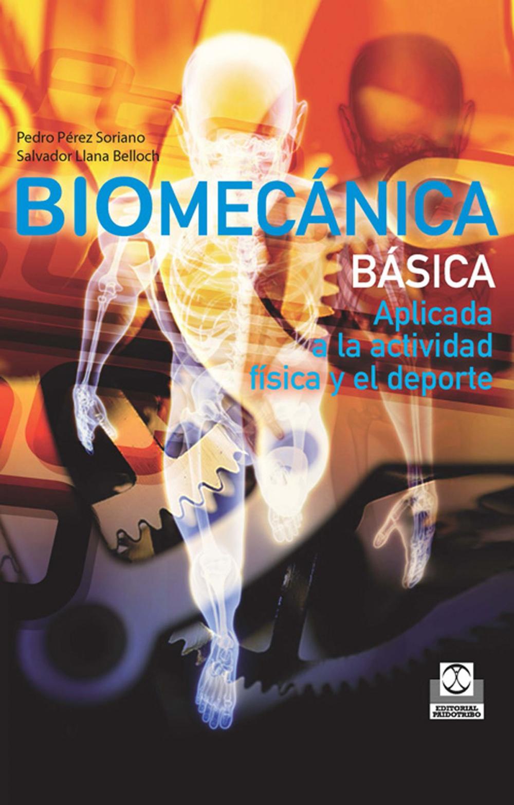 Big bigCover of Biomecánica básica