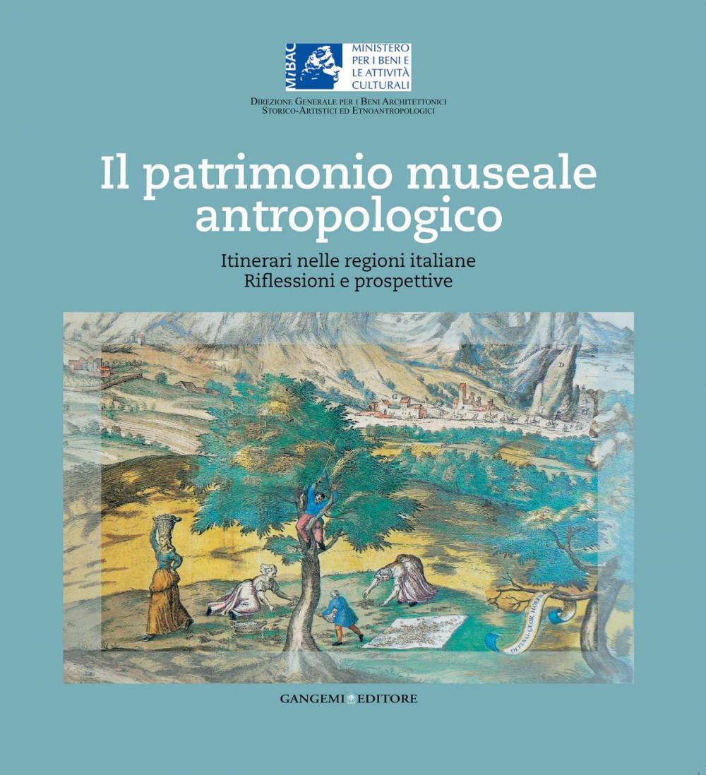 Big bigCover of Il patrimonio museale antropologico