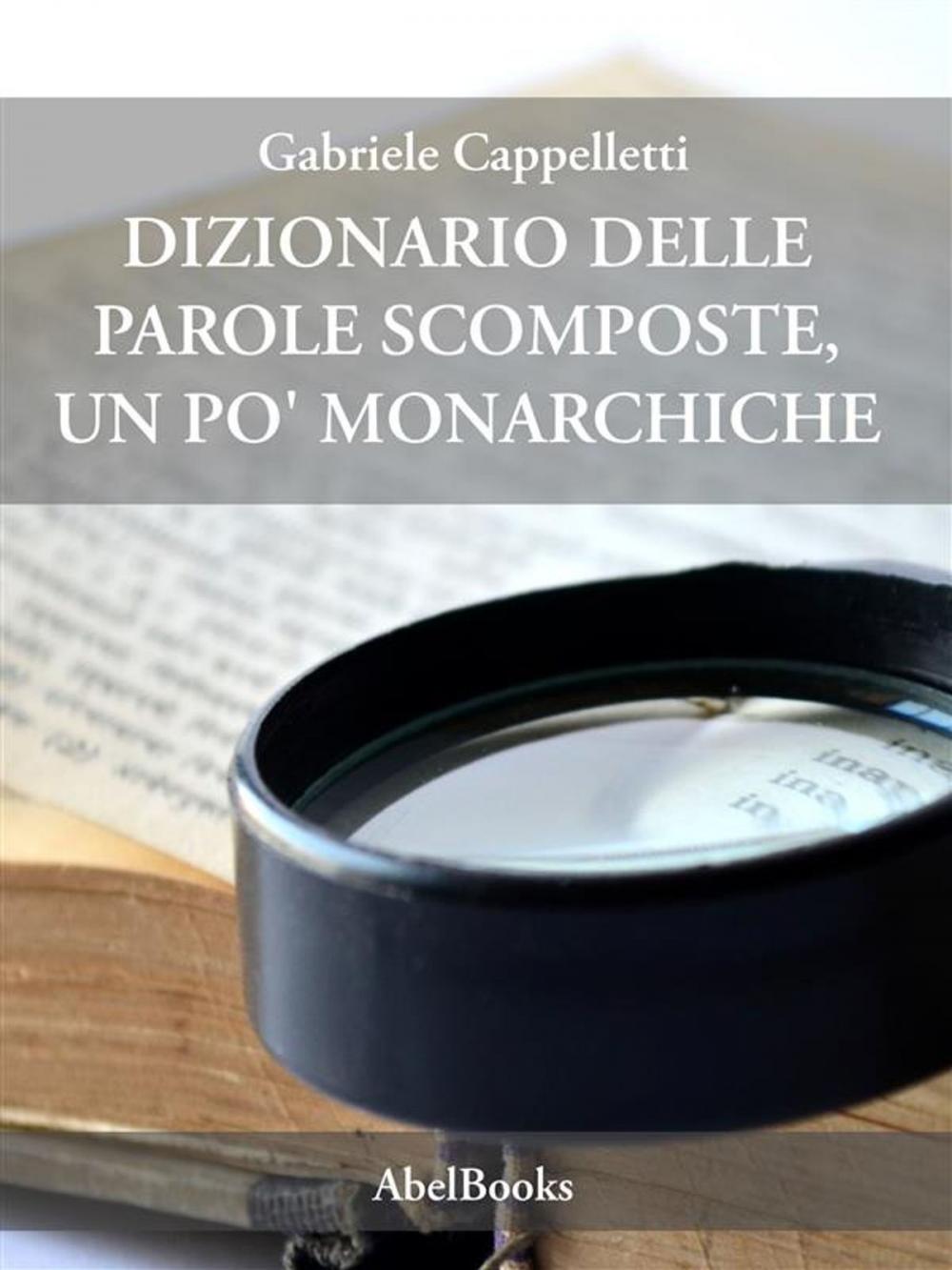 Big bigCover of Dizionario delle parole scomposte