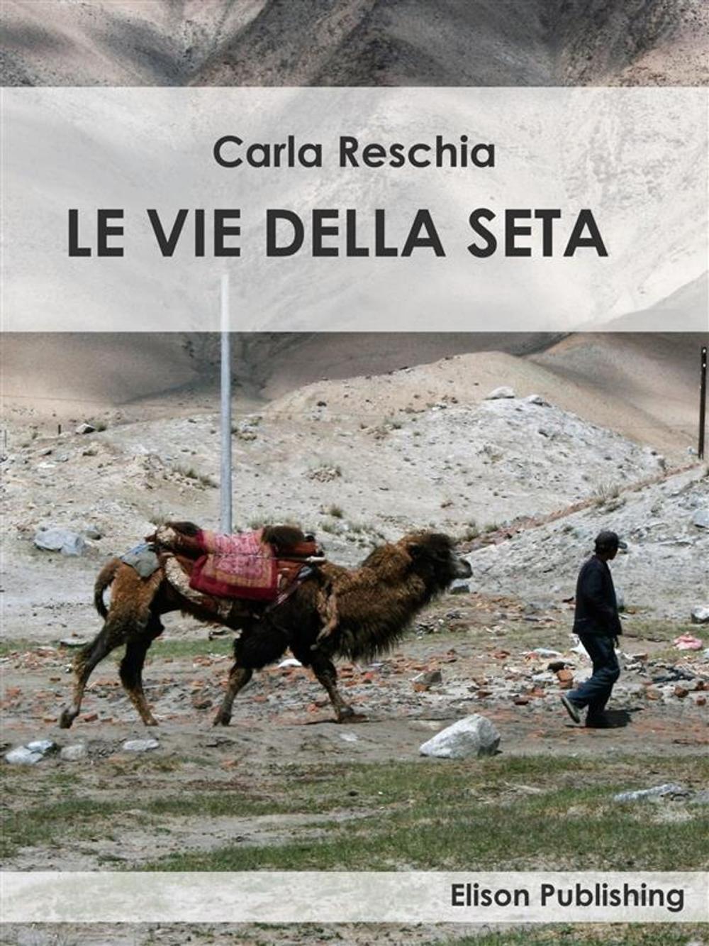 Big bigCover of Le vie della seta