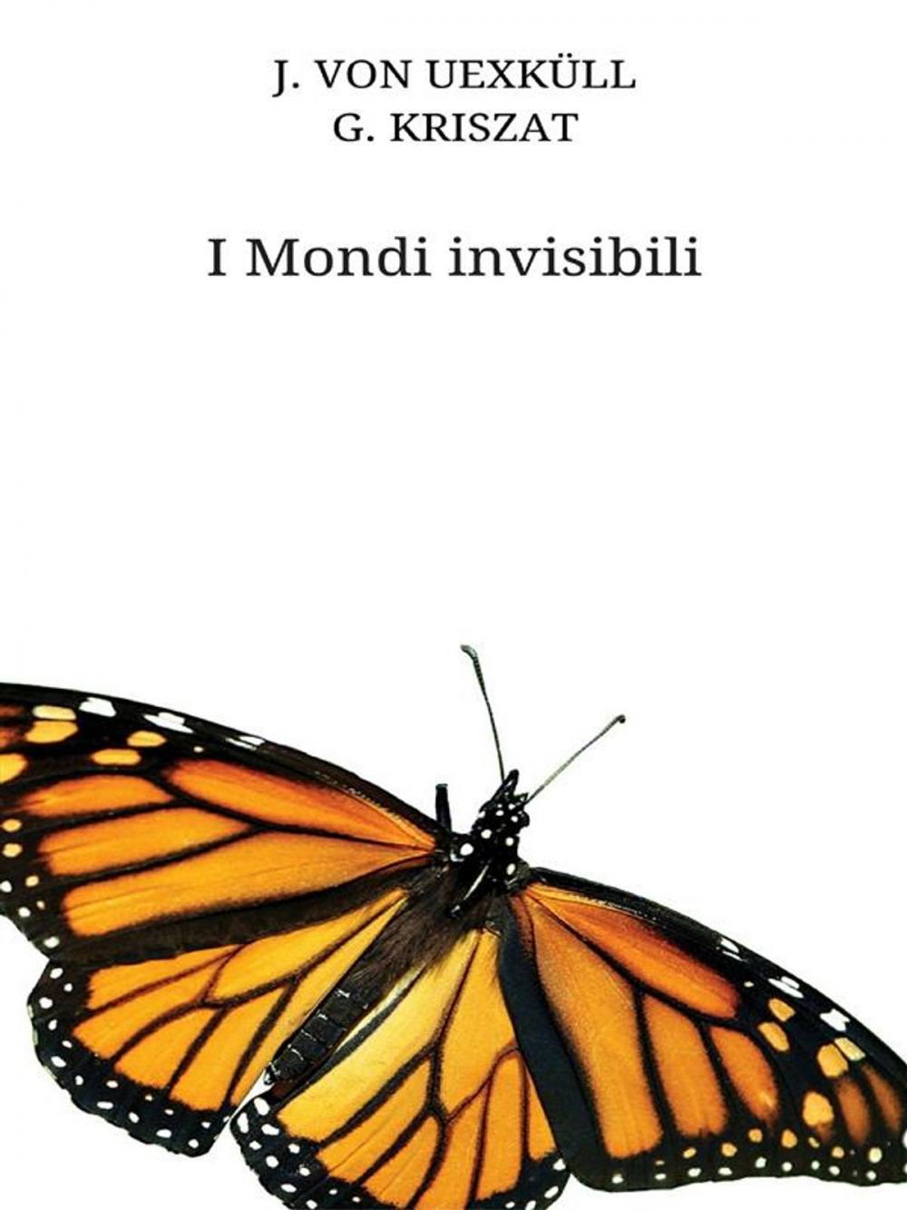 Big bigCover of I Mondi invisibili