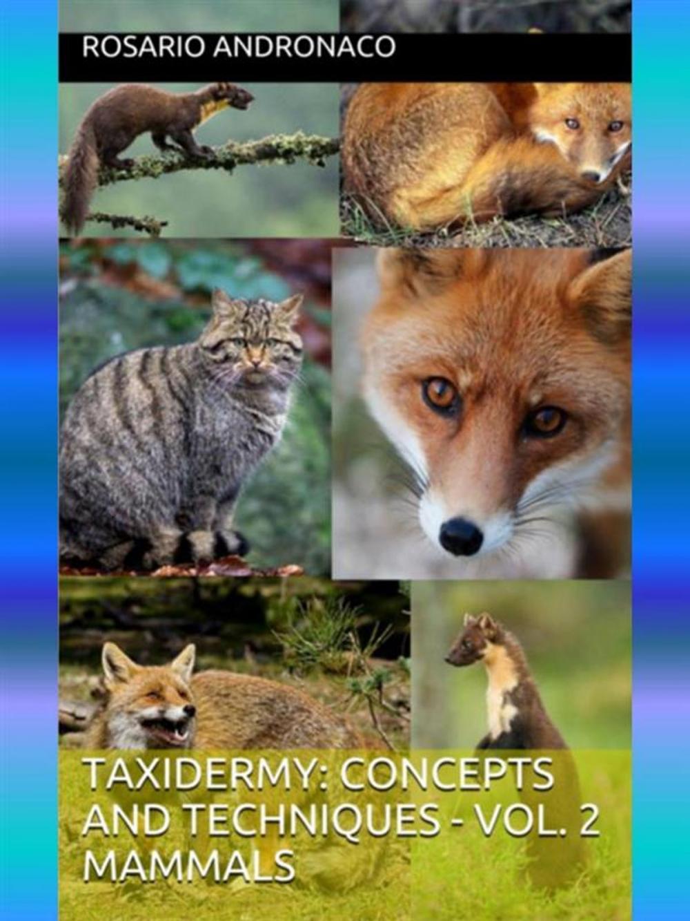 Big bigCover of Taxidermy: concepts and techniques - Vol. 2 Mammals