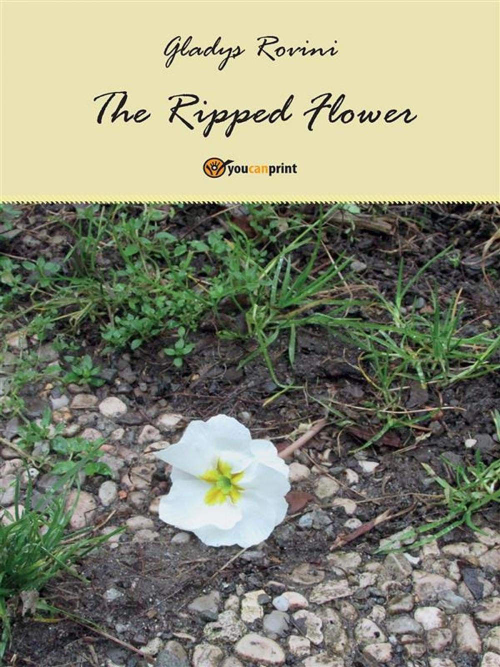 Big bigCover of The ripped flower