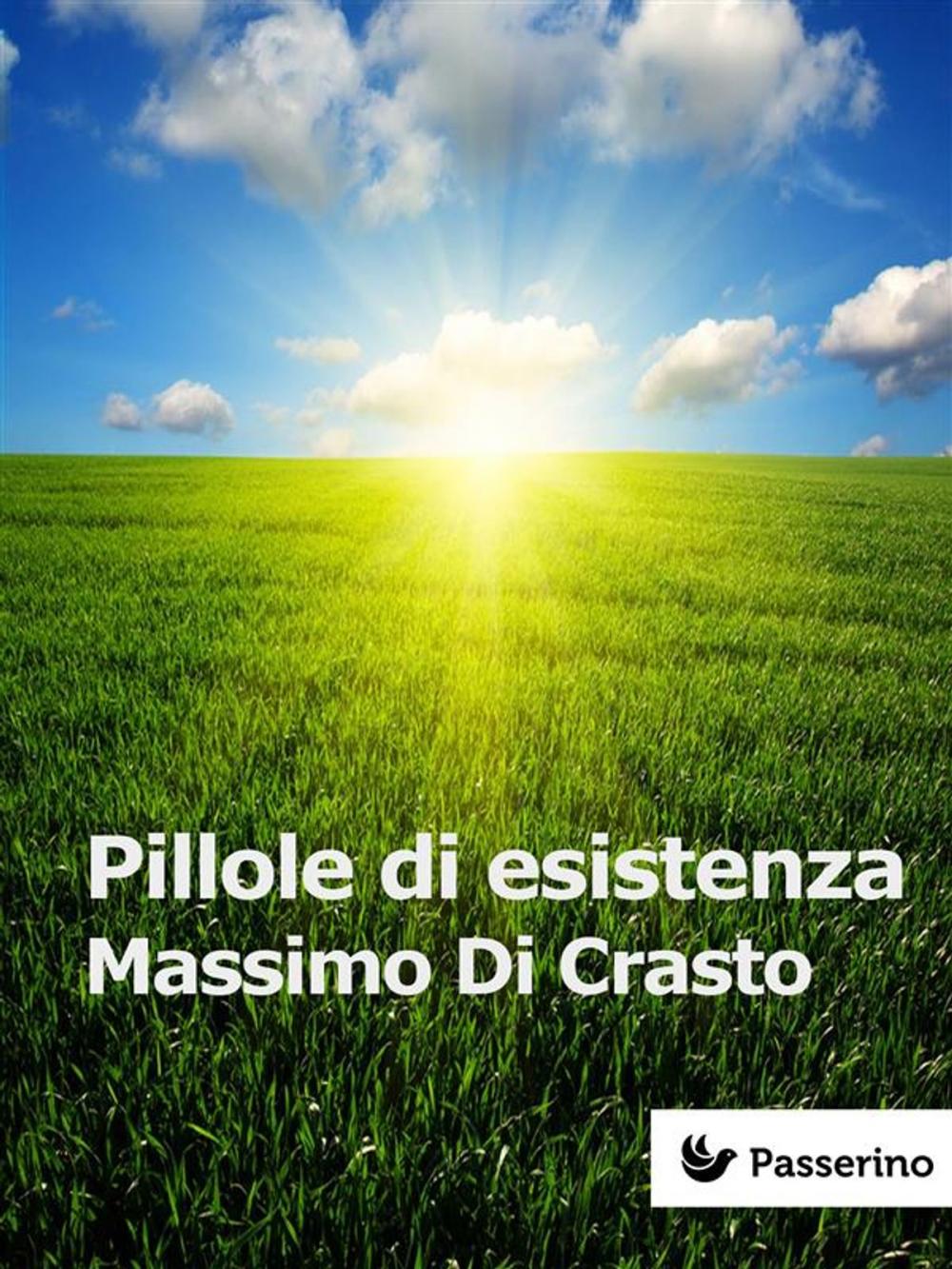 Big bigCover of Pillole di esistenza