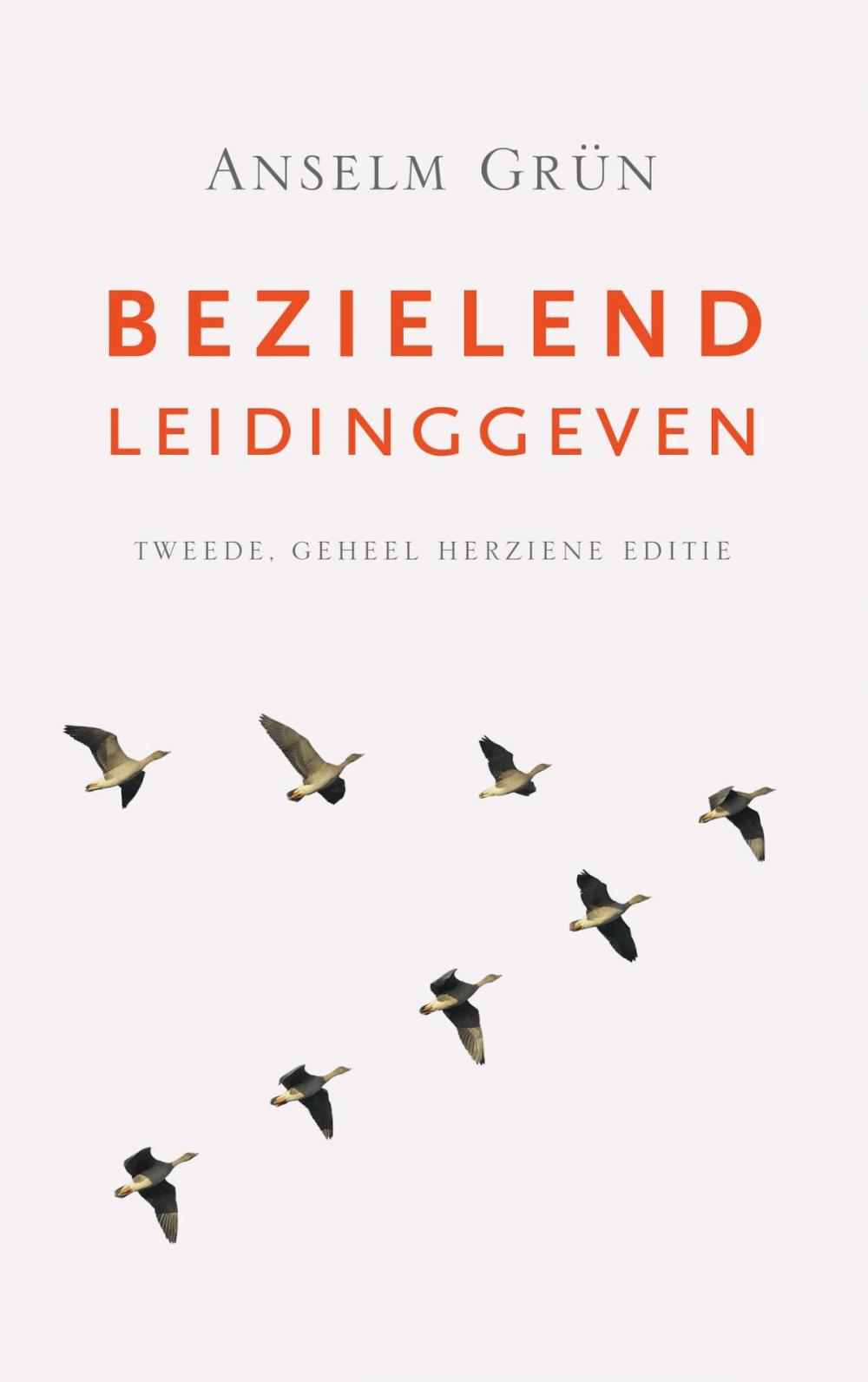 Big bigCover of Bezielend leidinggeven