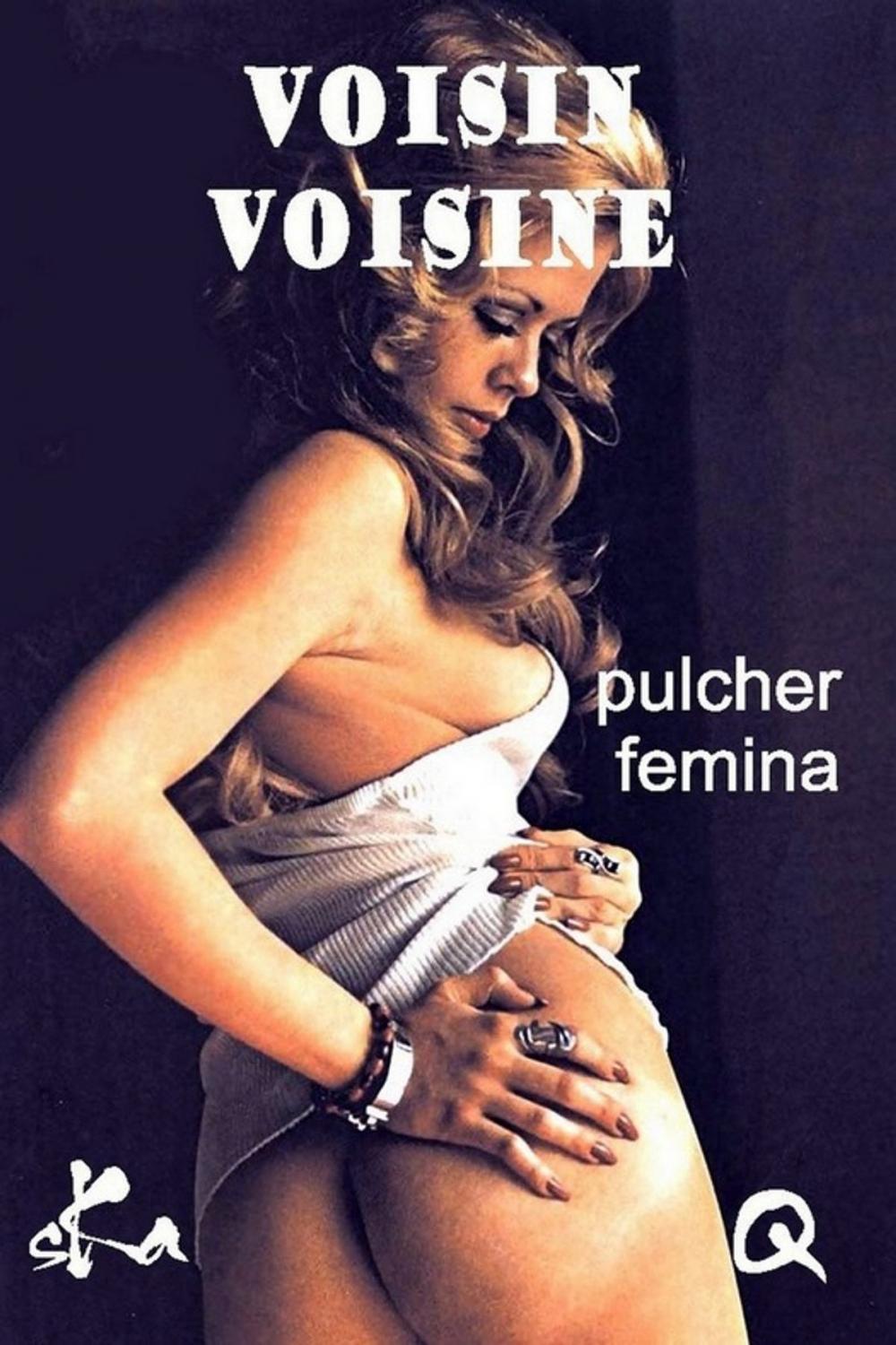 Big bigCover of Voisin Voisine