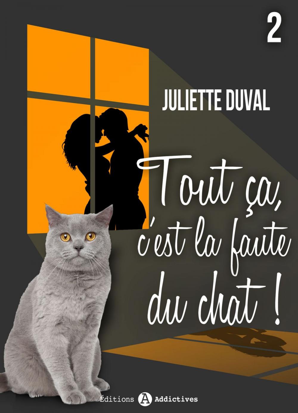 Big bigCover of Tout ça, c’est la faute du chat ! - 2