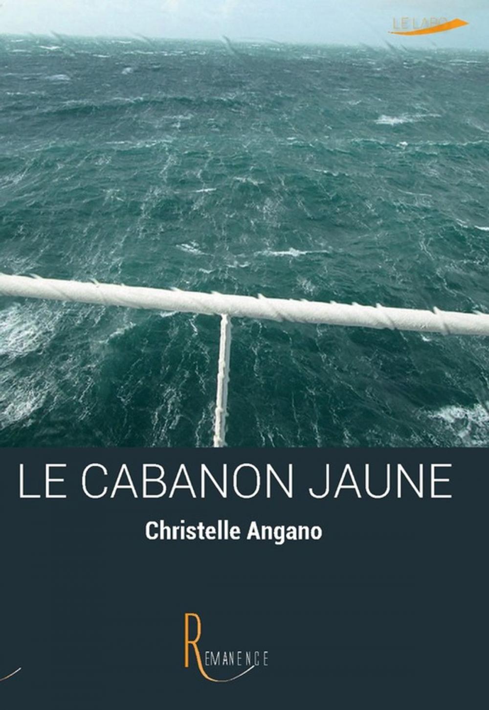 Big bigCover of Le cabanon jaune