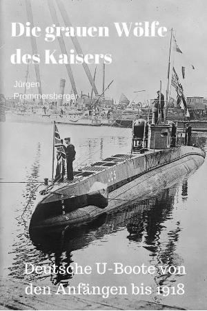 Cover of the book Die grauen Wölfe des Kaisers by Evett L Simmons