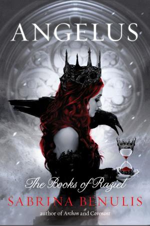 Cover of the book Angelus by Jessie Mihalik