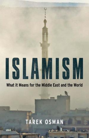 Cover of the book Islamism by Amus Limsvoice