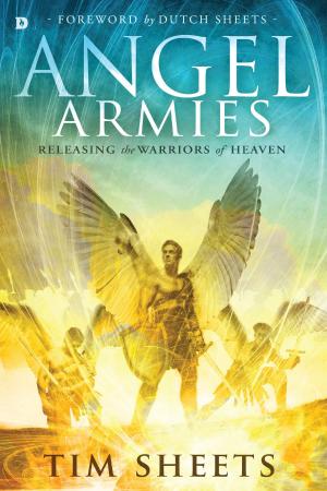 Cover of the book Angel Armies by Jonathan Anthony