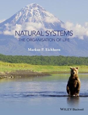 Cover of the book Natural Systems by Marty Brounstein, Susan Friedmann, Dirk Zeller