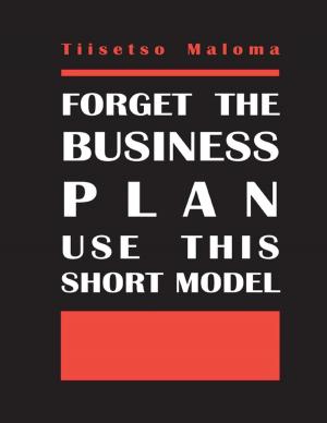 Cover of the book Forget the Business Plan Use This Short Model by Kimmy Welsh