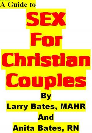 Book cover of A Guide to SEX for Christian Couples Second Edition