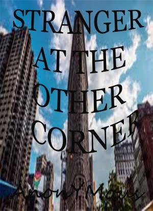Book cover of Stranger At The Other Corner