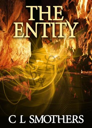 Cover of the book The Entity by Paul J. Horten