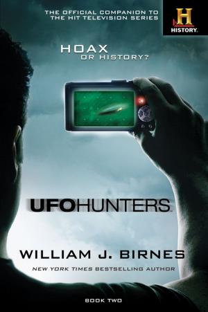 Cover of the book UFO Hunters Book Two by David Edison