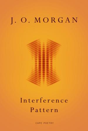 Cover of the book Interference Pattern by Carlton D Kennedy