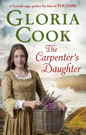 Cover of the book The Carpenter's Daughter by Darryl Wood