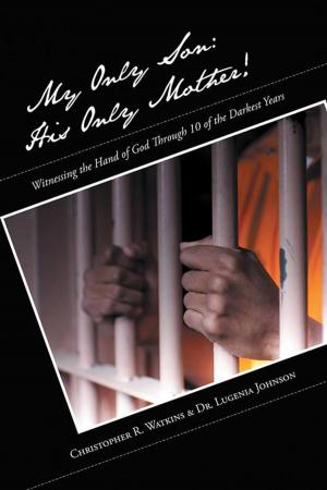Cover of the book My Only Son: His Only Mother! by Authoress Terry E. Lyle