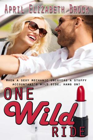 Cover of the book One Wild Ride by Roni  Denholtz