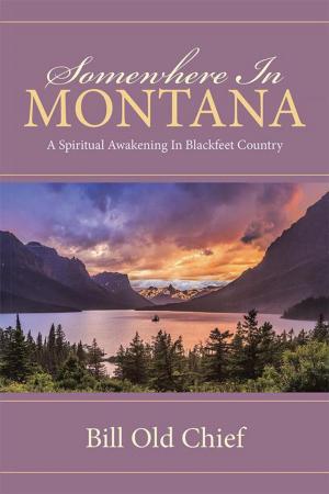 Cover of the book Somewhere in Montana by Becky Dornhecker