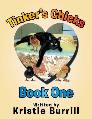 Cover of the book Tinker's Chicks by Leila L. Reinersman