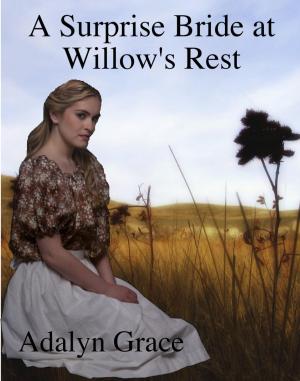bigCover of the book A Surprise Bride in Willow's Rest by 