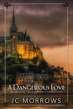 Cover of the book A Dangerous Love by Rachel L. Miller, Naomi Miller