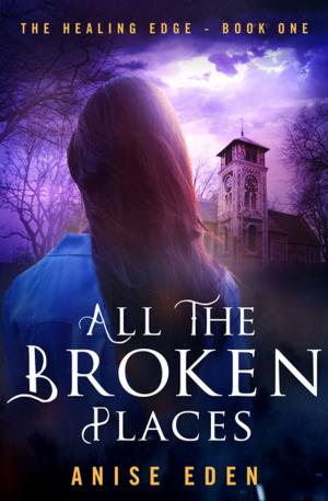 Cover of the book All the Broken Places by Mona Prevel