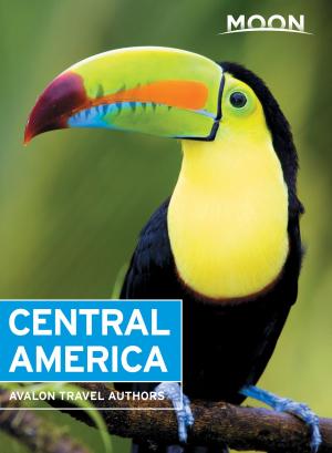 Cover of the book Moon Central America by Camille DeAngelis