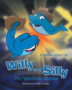 Cover of the book Willy and Silly by Katherine Barnes