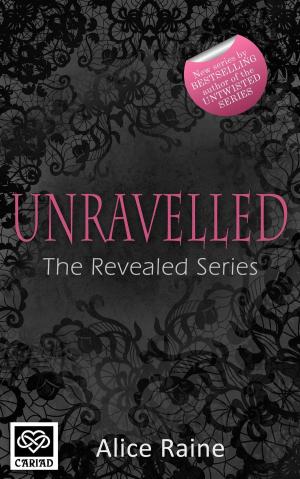 Cover of the book Unravelled by Lesley Cookman