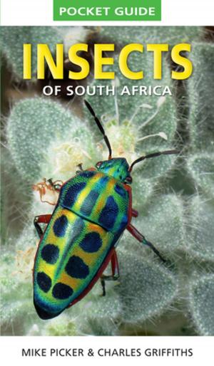 Cover of the book Pocket Guide to Insects of South Africa by Mia Couto