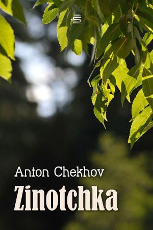 Book cover of Zinotchka