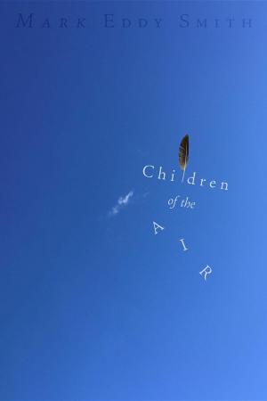 Cover of the book Children of the Air by Stone de Rouffignac