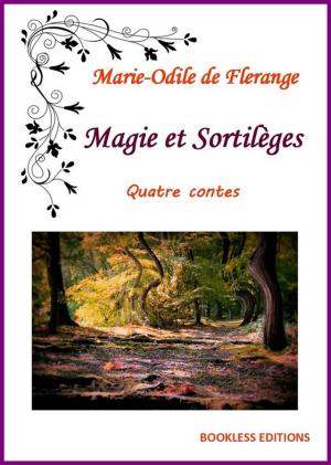 Book cover of Magie et Sortilèges