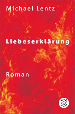 Cover of the book Liebeserklärung by Prof. Dr. Martin Seel